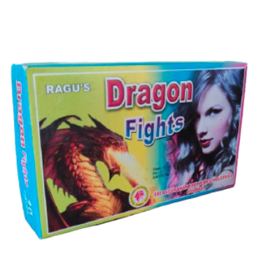 Dragon Fight Image