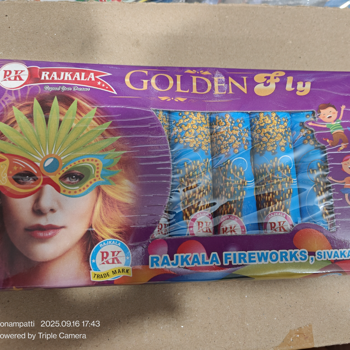 Click Image to preview original image Golden Fly Image